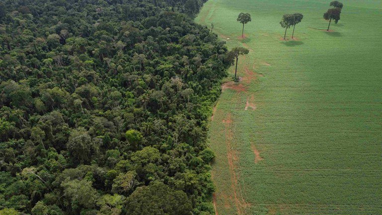 Amazônia (Foto: Fernando Frazão/Agência Brasil)